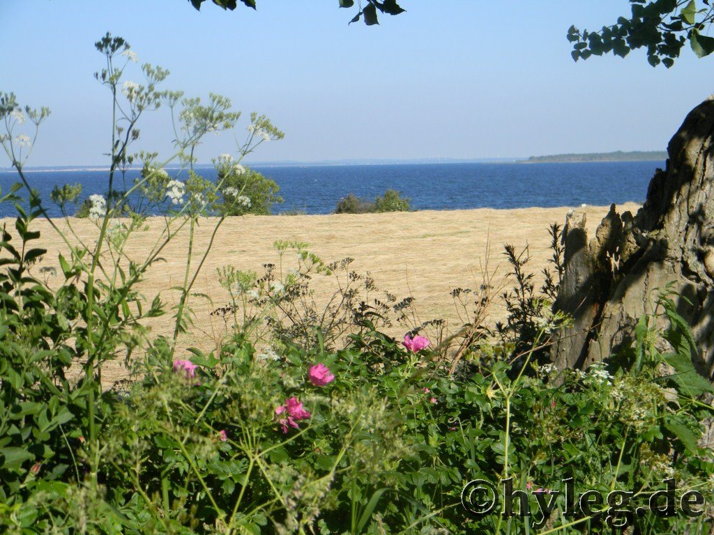 ostsee