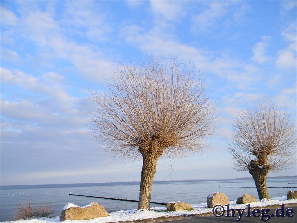 Boltenhagen